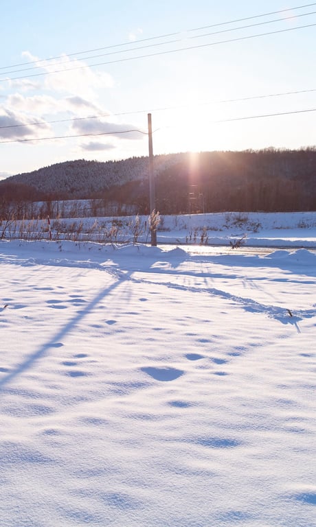 图片[178]-WPB 小宫有纱数字写真集～特装合本版～ 週プレ PHOTO BOOK (2019-03-25) - 在线免费观看-阅图吧