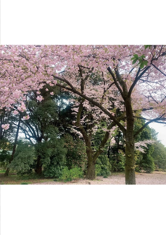 图片[28]-2022.01.28 自拍裸体写真集企划＃02 吉高宁宁 超喜欢你哦 朝艺SEXY女优写真集 - 在线免费观看-阅图吧