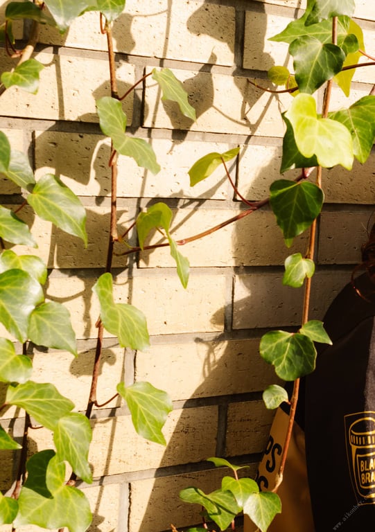 图片[16]-#NEWLOOK【girl meets street】枫可怜 - 在线免费观看-阅图吧