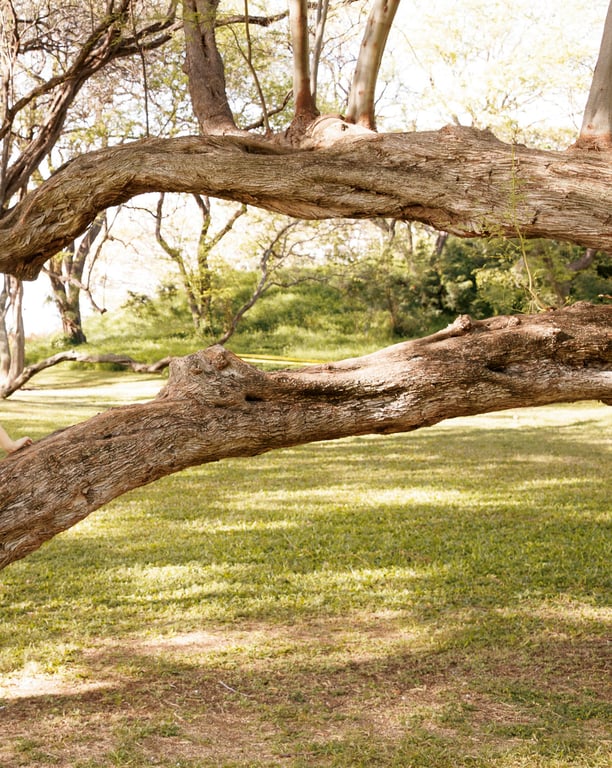 图片[161]-#佐野ひなこ写真集 最高のひなこ - 全本免费在线观看-阅图吧