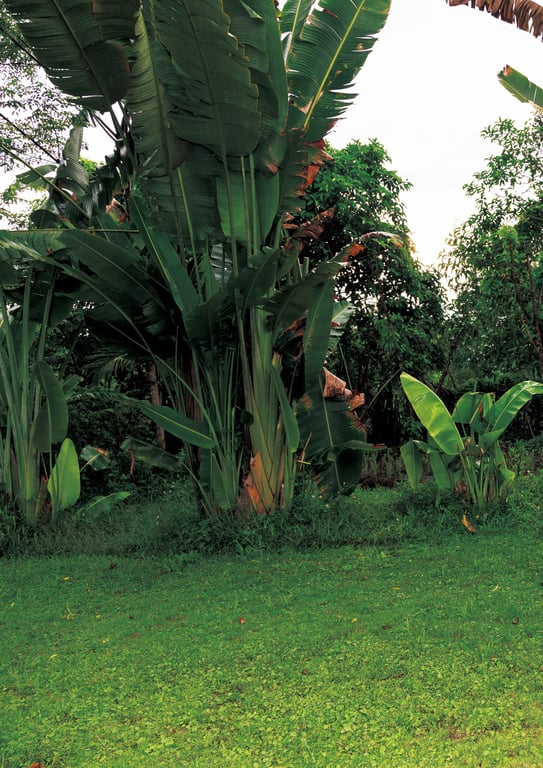 图片[13]-#白间美瑠写真集 MERCI - 全本免费在线观看-阅图吧