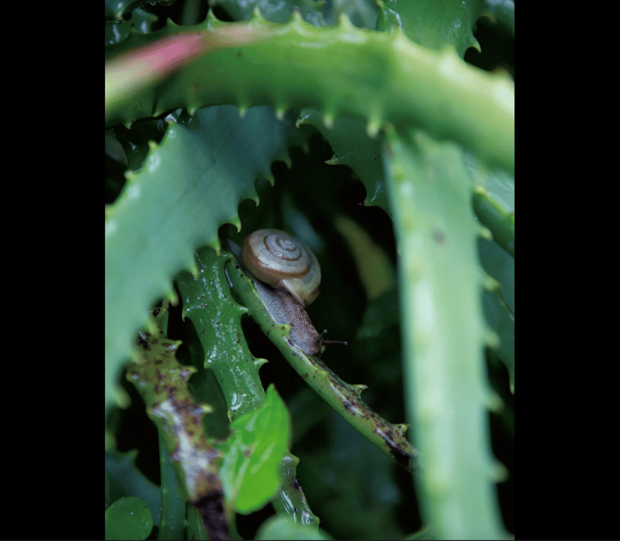 图片[96]-#紗綾 デジタル写真集 紗綾 - 全本免费在线观看-阅图吧