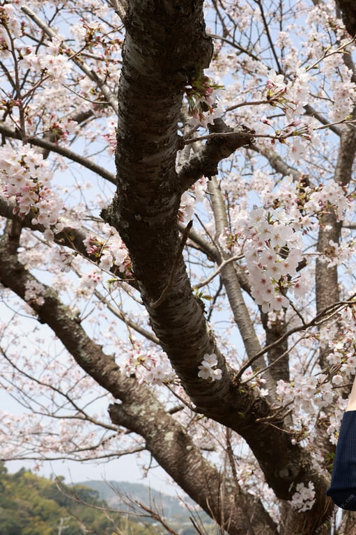 图片[90]-#新藤爱美 蛊惑 vol.2 全未公开100张超完全版 意外的首次胸部解禁！FRIDAY数字写真集 - 全本免费在线观看-阅图吧