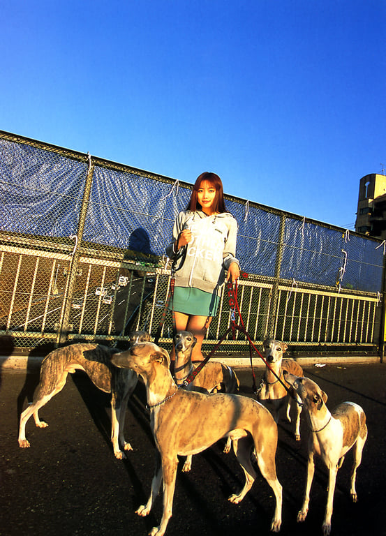 图片[123]-#佐藤江梨子 – 搬家 - 全本免费在线观看-阅图吧