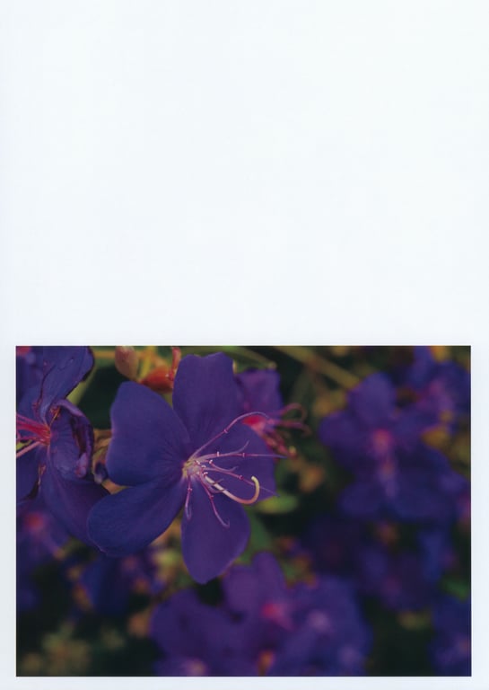 图片[70]-白間美瑠ファースト写真集「LOVE RUSH」 - 阅图吧-阅图吧