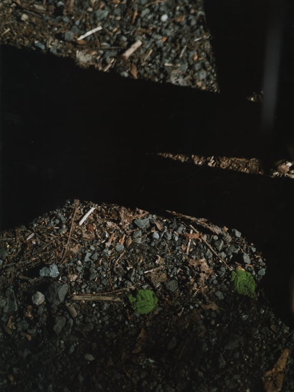 #欅坂46 首本写真集 『21人的未完成』\Oda - 全本免费在线观看-阅图吧