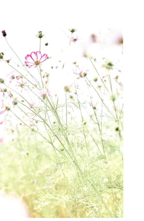 图片[105]-Miyata Manamo 宫田爱萌 1st Novel Book – Kirakirashi (2023-03-28) - 在线免费观看-阅图吧