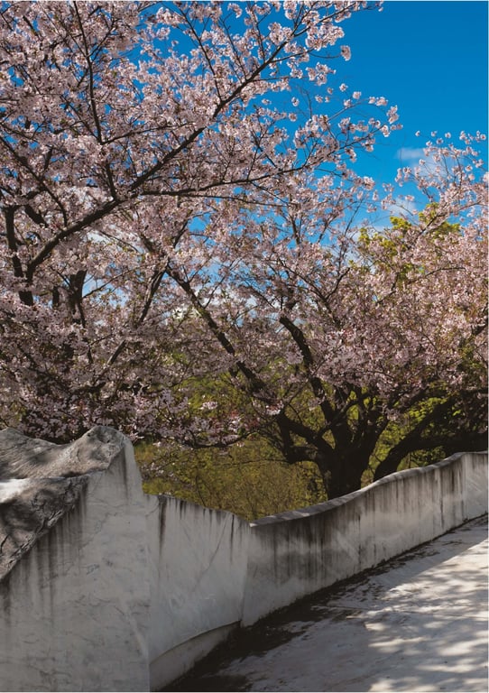 图片[65]-市川美织1st写真集 PRIVATE - 在线免费观看-阅图吧