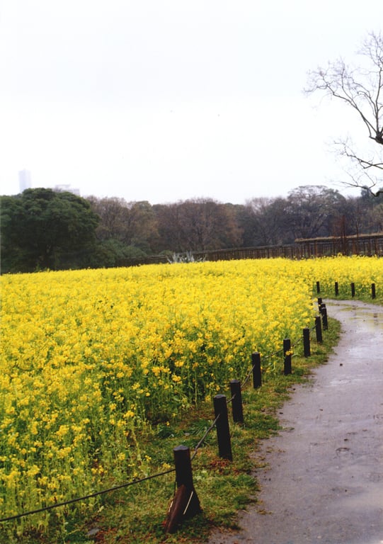 图片[34]-#(月刊シリーズ 057) – 月刊057 佐藤珠绪Special - 全本免费在线观看-阅图吧