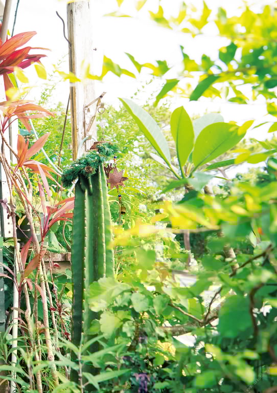 Remu Suzumori 凉森玲梦 - R’ (2021-08-06)-阅图吧