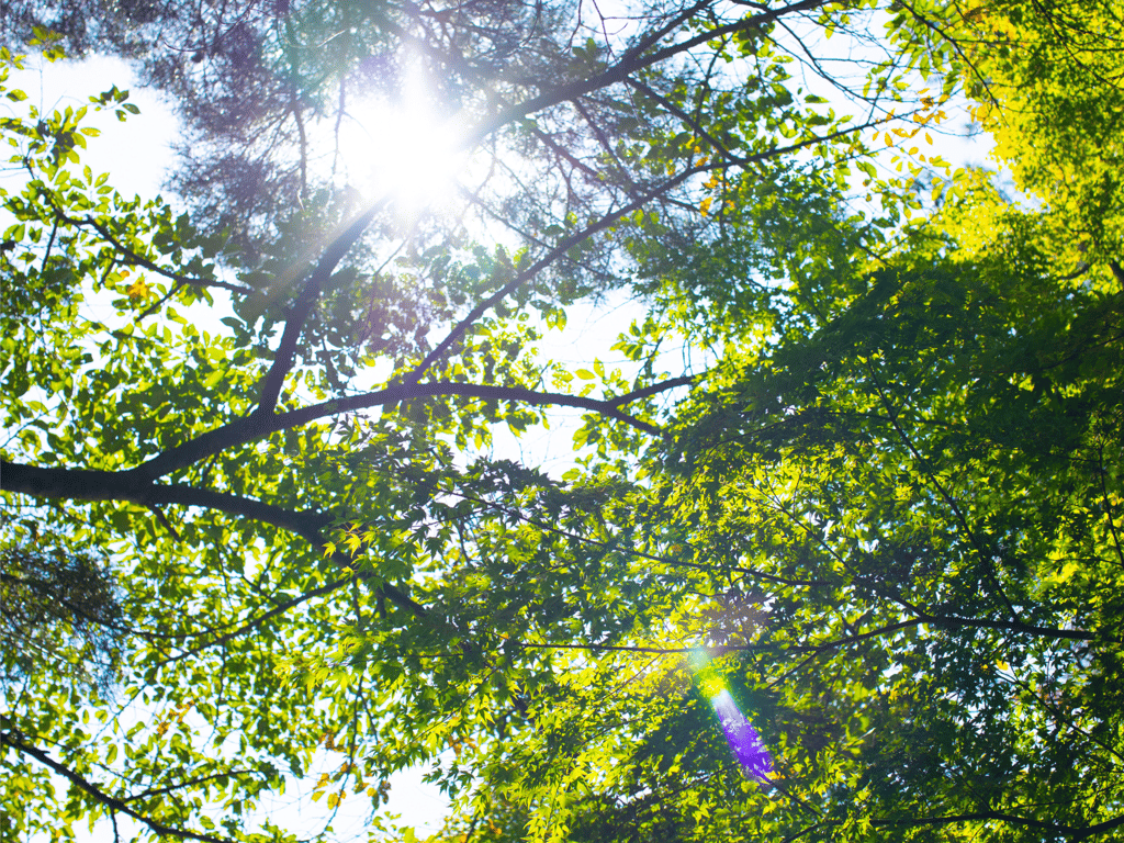 图片[6]-宮村奈奈子 グラビア写真集 SEVENTH HEAVEN - 在线免费观看-阅图吧