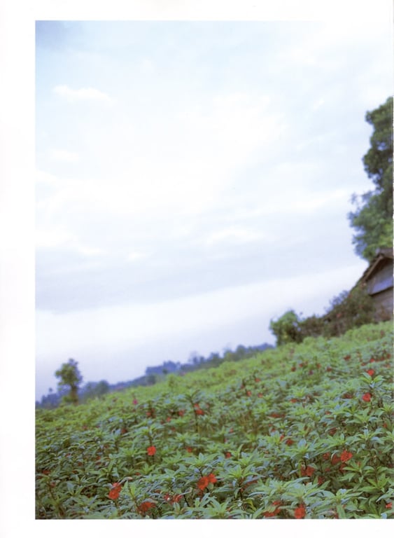 图片[111]-#Sayaka Isoyama 磯山沙也加 – Only You (2002-11) - 全本免费在线观看-阅图吧