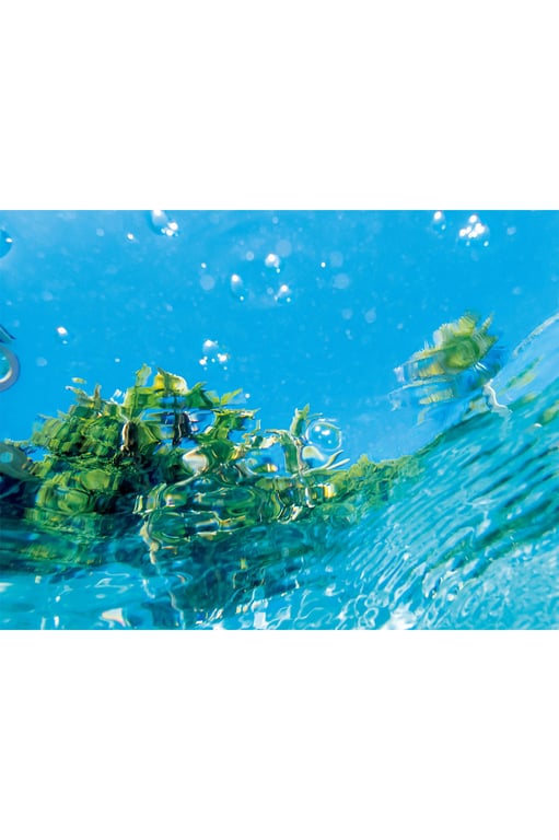 图片[80]-【電子版だけの特典カットつき！】久松郁実写真集 LA - 在线免费观看-阅图吧