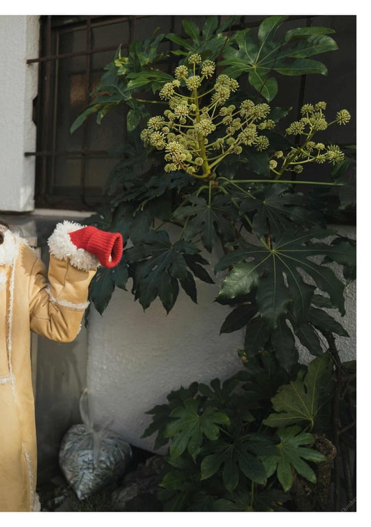 图片[20]-#とられち 美谷朱里(2023-01-31) - 全本免费在线观看-阅图吧