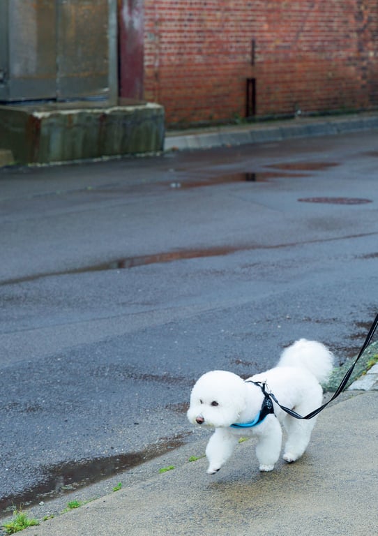 图片[22]-【電子版だけの特典カットつき】山田南実写真集『Departure』 - 在线免费观看-阅图吧