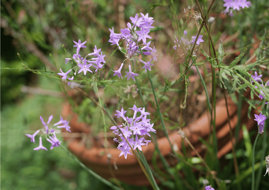 图片[27]-#週刊POST数码写真集 高宫真理 x 冈田纱佳『牌 x 牌 more』 - 全本免费在线观看-阅图吧