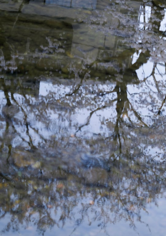 图片[85]-#小仓七海 数字写真集 とられち(No Watermark) - 全本免费在线观看-阅图吧