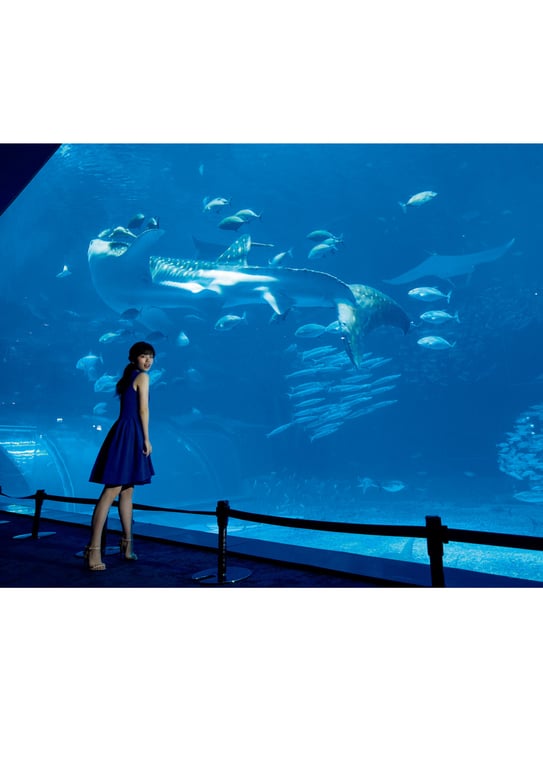 图片[89]-#Fuka Koshiba 小芝风花 写真集 F (2019.01.27) - 全本免费在线观看-阅图吧