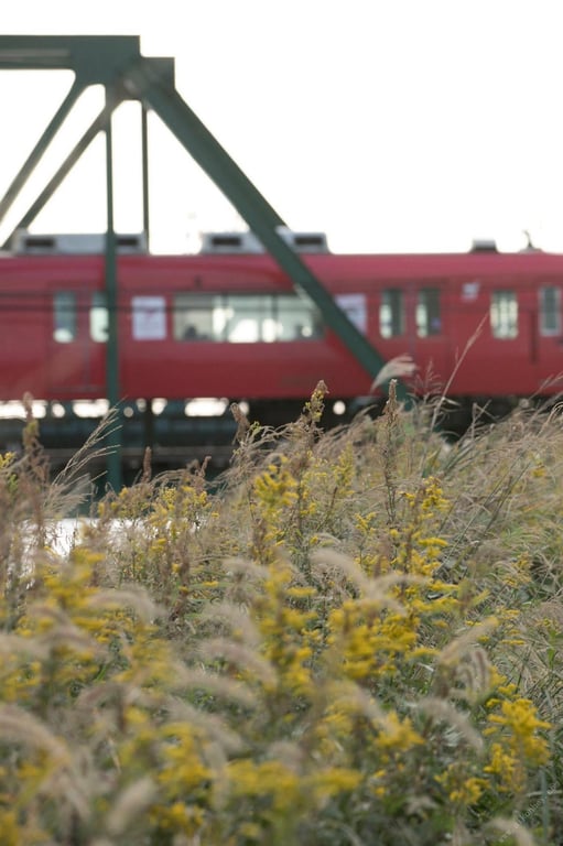 图片[90]-#仲村美海 冲洗背部 週刊ポストデジタル写真集 - 全本免费在线观看-阅图吧