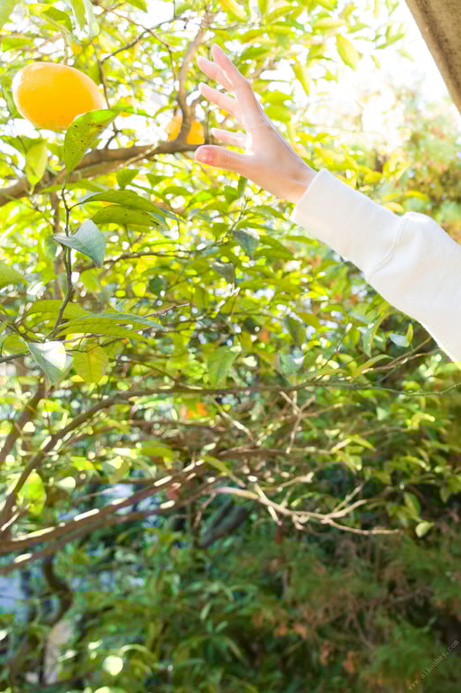 图片[6]-#Yui Asakura 浅仓唯 Who\’s Hot Spisan Gravure Photobook 是谁的错这么火热 斯皮桑 写真集 (2022.02.14) - 全本免费在线观看-阅图吧