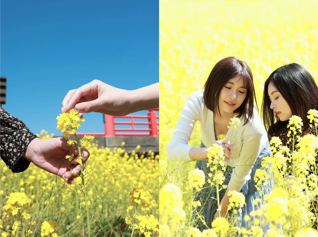 图片[43]-#週刊ポストデジタル写真集 翼舞ｘ五十嵐夏 愛とエロスと - 全本免费在线观看-阅图吧