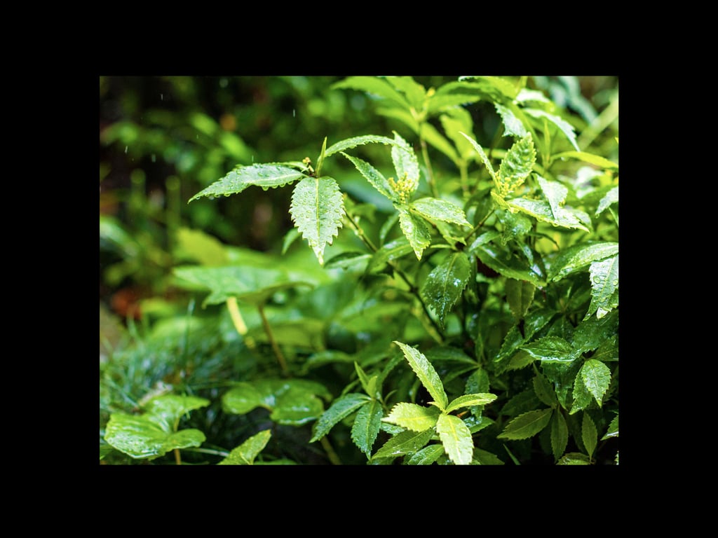 图片[3]-めぞん未ノ刻 ～魅惑な管理人～ 通野未帆 グラビア写真集 - 在线免费观看-阅图吧