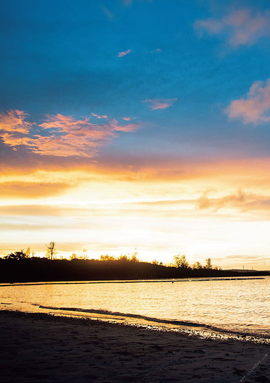 图片[88]-#Momo Sakura 樱空桃写 “Momoiro” (2017.11.17) - 全本免费在线观看-阅图吧