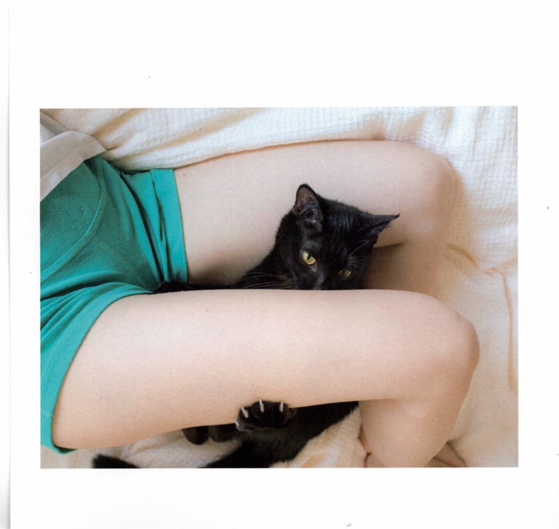 图片[26]-#青山裕企 Photobook 26sets\【青山裕企】猫与大腿 - 全本免费在线观看-阅图吧