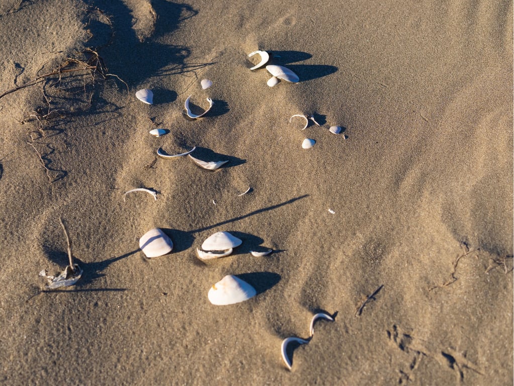 图片[37]-MIYABI 裸体写真集 忘不了的H杯[96pics] - 在线免费观看-阅图吧