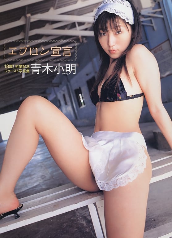 #Koaki Aoki 青木小明 – Apron Declaration 围裙宣言(20030314) - 全本免费在线观看-阅图吧