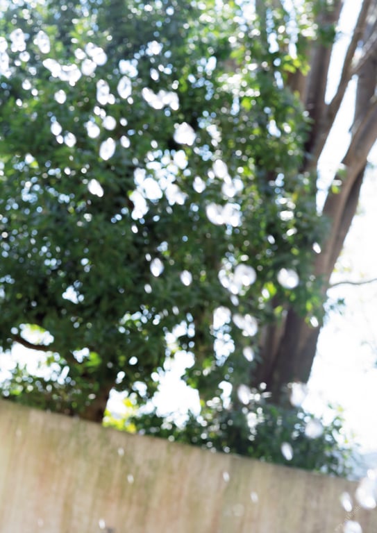 图片[11]-#花咲れあ1st写真集 花瓣 - 全本免费在线观看-阅图吧