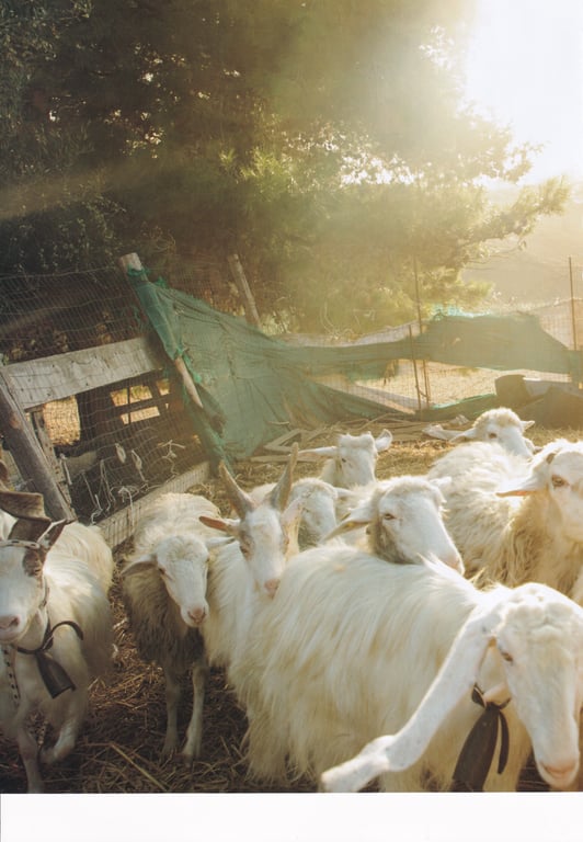 图片[41]-#与田祐希2nd写真集 沉默的时间 (High Qulity) - 全本免费在线观看-阅图吧