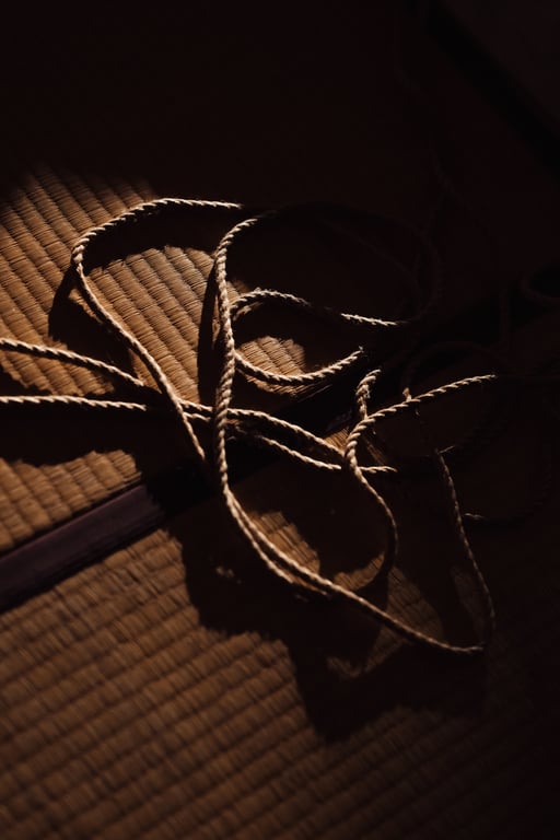 图片[155]-けん研🧪 (剑剑) 女忍者忍法色诱之术DL写真集 - 在线免费观看-阅图吧