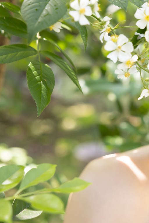 图片[69]-[FLASH Photobook] Tsumugi Hashimoto 桥本纺 - The best in Osaka is the best in Japan! 大阪第一就是日本第一！ (2023-06-20) - 在线免费观看-阅图吧