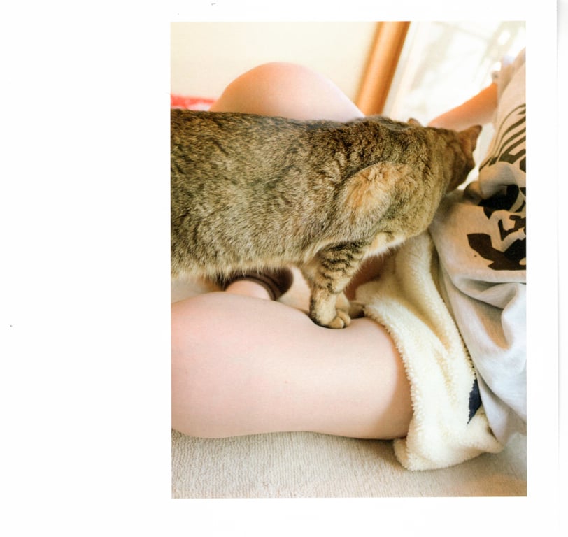 图片[17]-#青山裕企 Photobook 26sets\【青山裕企】猫与大腿 - 全本免费在线观看-阅图吧