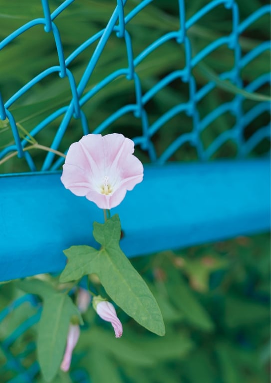 图片[64]-#2016.12.02 马场文香首本写真集 性感 - 全本免费在线观看-阅图吧