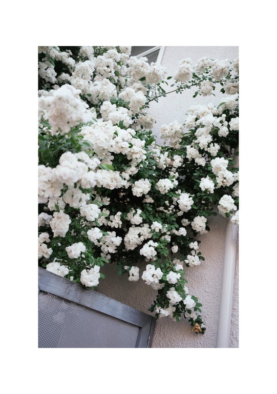 图片[3]-#石川澪 デジタル写真集 とられち(No Watermark) - 全本免费在线观看-阅图吧