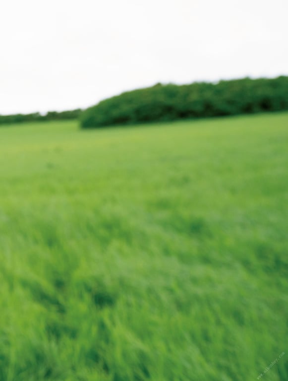 图片[11]-#小日向ゆかファースト写真集 はじメェ～まして。 (アサ芸アイドル写真集) - 全本免费在线观看-阅图吧