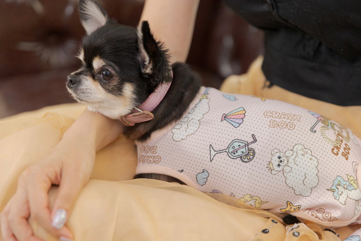 图片[53]-Sarina Momonaga 百永纱里奈 - Perfect Day For A Date 约会日和 - 在线免费观看-阅图吧