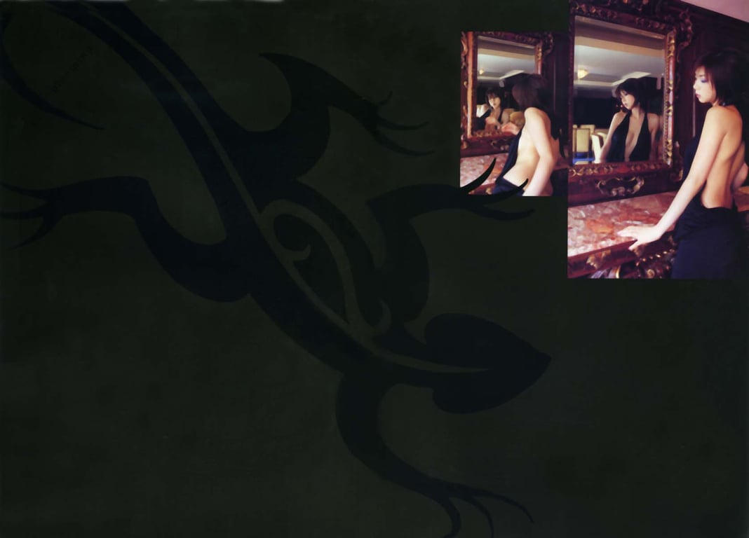 图片[47]-#(月刊シリーズ 070) – 月刊070 星野亚希 - 全本免费在线观看-阅图吧