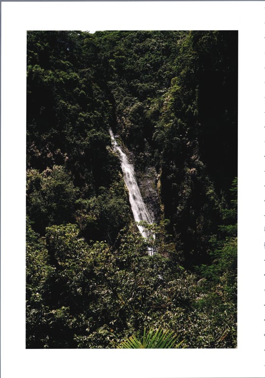 图片[5]-Ayane Suzuki 鈴木絢音 - 1st Photobook The angle of the light 光之角度 (2020-11-10) - 在线免费观看-阅图吧