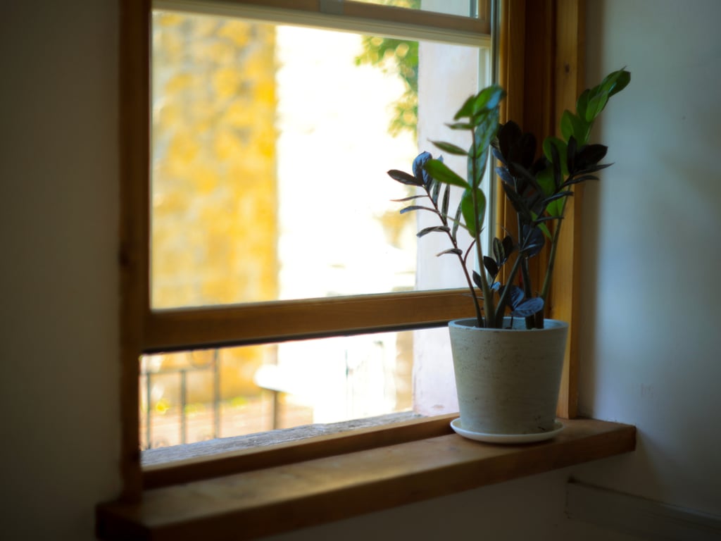 图片[13]-#穂花爱理 オフィシャルグラビア写真集 隐约的温暖 - 全本免费在线观看-阅图吧