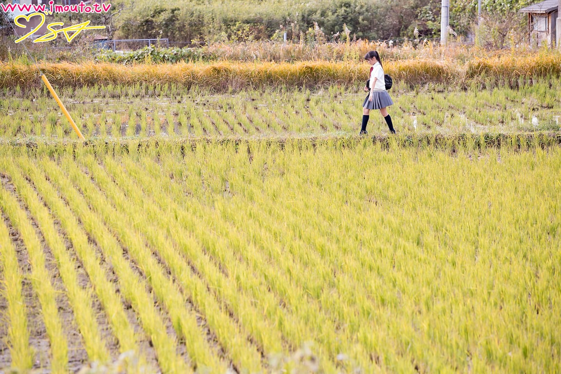 图片[20]-尾野寺みさ 13歳_ポワント01_尾野寺みさ_m01 - 在线免费观看-阅图吧