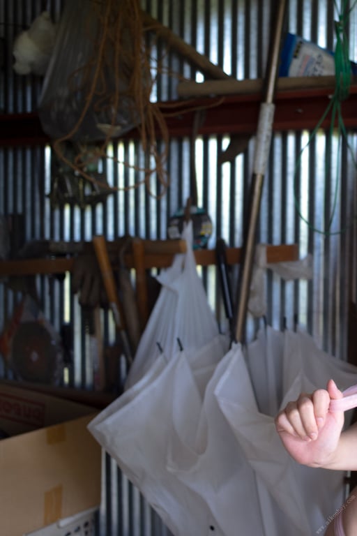 图片[57]-#Minamo Nagase 永濑美奈萌 – Reborn (2021-02-05) - 全本免费在线观看-阅图吧