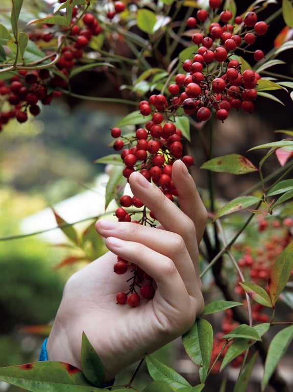 图片[123]-街山美穗【Scarlet】 - 在线免费观看-阅图吧