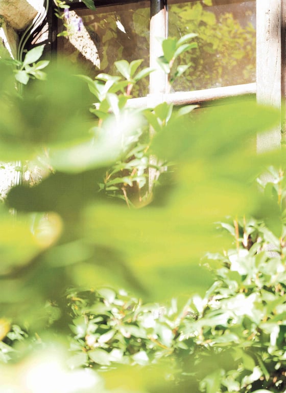 图片[67]-#堀未央奈 2nd写真集 『 曾经的约定之地 』Low - 全本免费在线观看-阅图吧