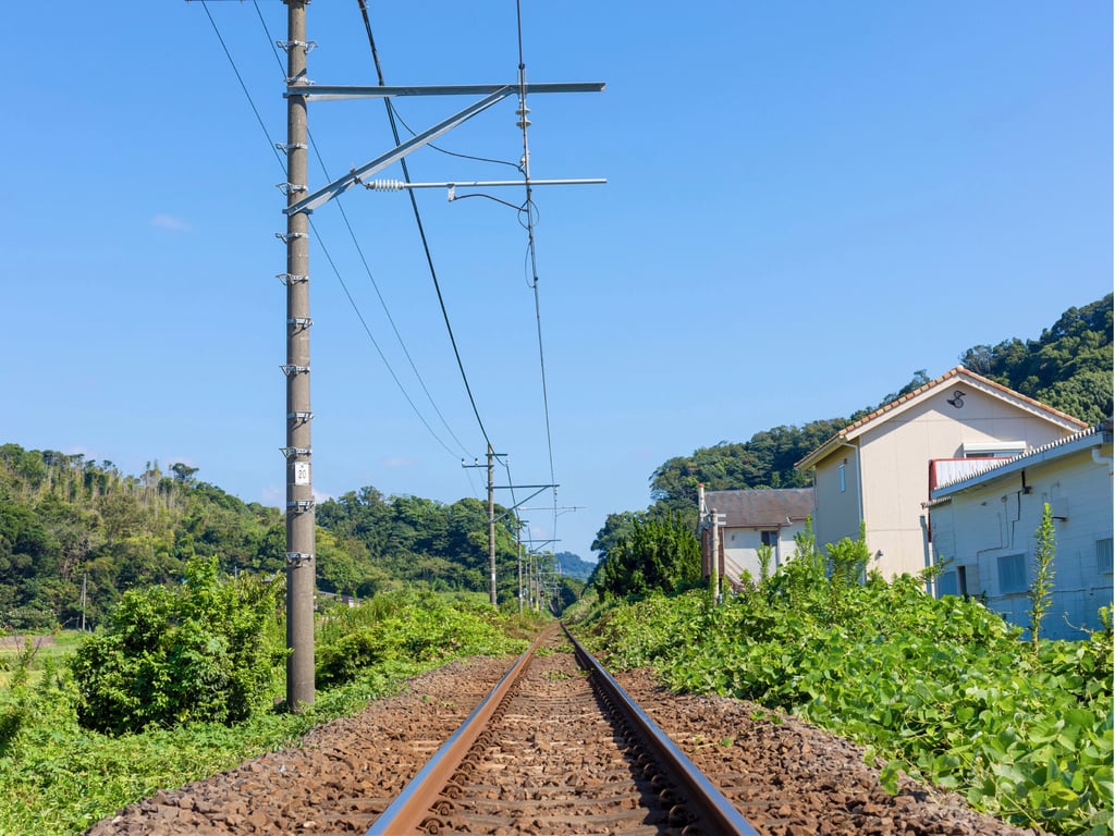 图片[2]-#太陽と向日葵 沙月恵奈 ヌード写真集 - 全本免费在线观看-阅图吧