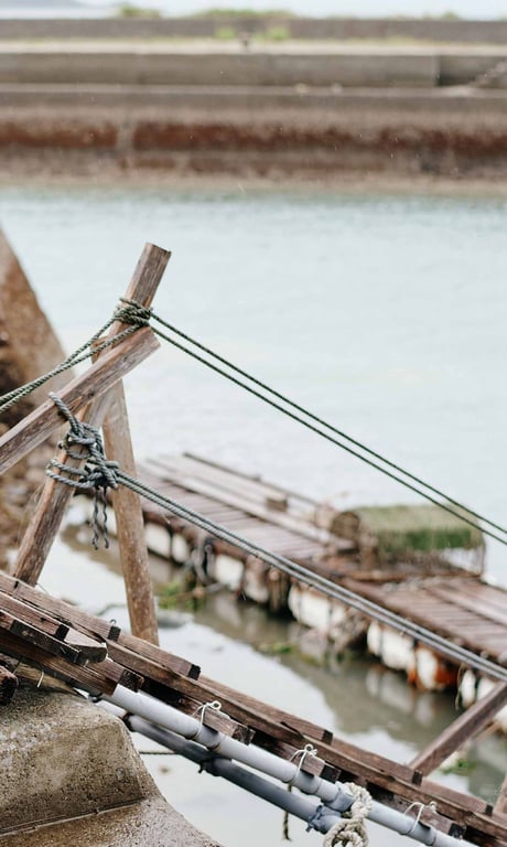 图片[14]-#Runa Toyoda 豊田琉夏 Summer when you were. 「你曾存在的夏天。」 (2021.08.16) - 全本免费在线观看-阅图吧