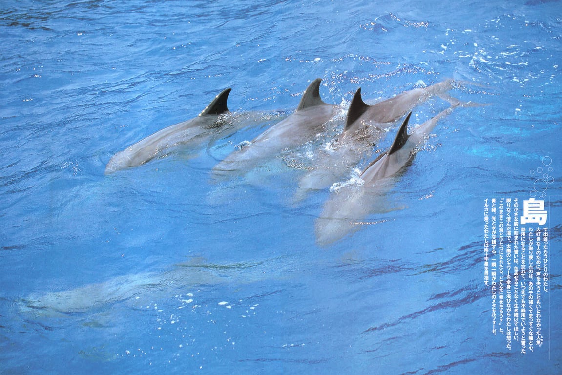 图片[89]-#佐藤宽子 – Peek a Boo！ - 全本免费在线观看-阅图吧