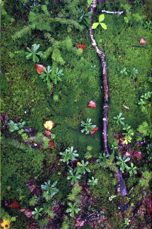 图片[61]-#Risako Sugaya 菅谷梨沙子 – 梨想 - 全本免费在线观看-阅图吧